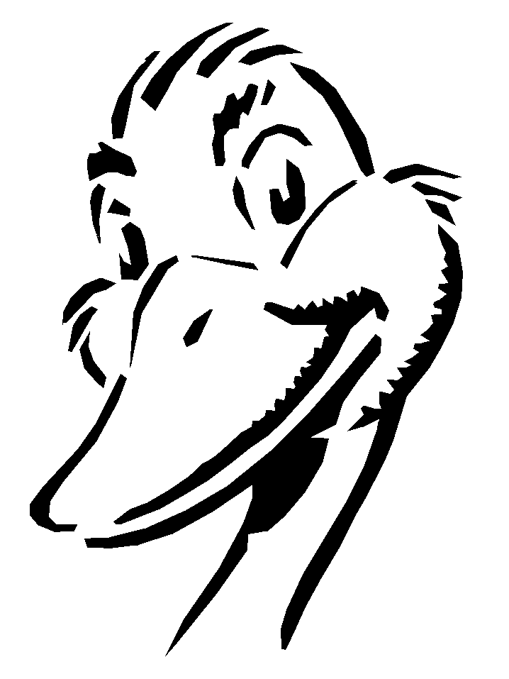 disegni uccelli da colorare