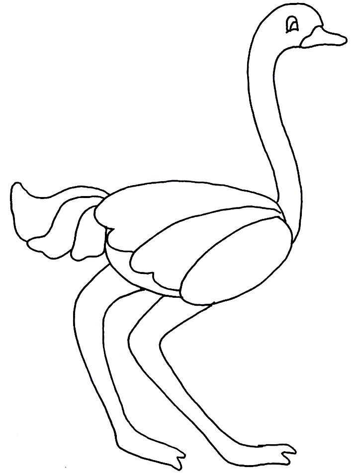 disegni uccelli da colorare