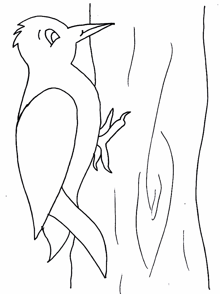 disegni uccelli da colorare