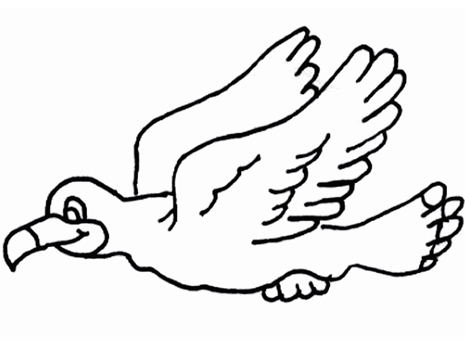 disegni uccelli da colorare