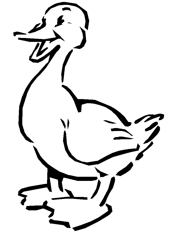 disegni uccelli da colorare