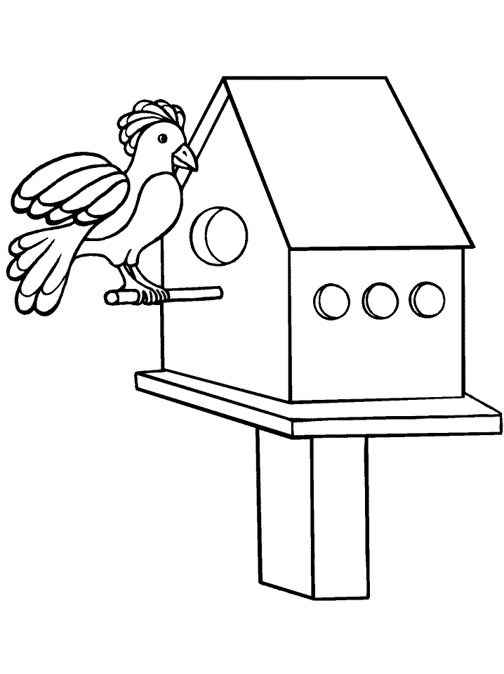 disegni uccelli da colorare