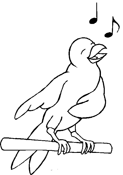 disegni uccelli da colorare
