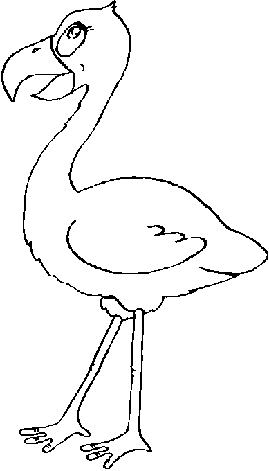 disegni uccelli da colorare