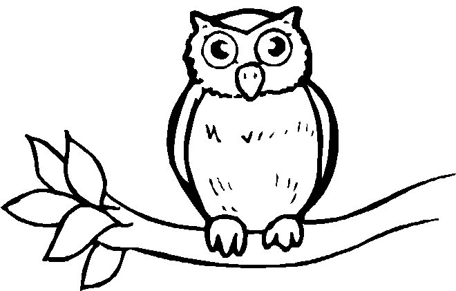 disegni uccelli da colorare