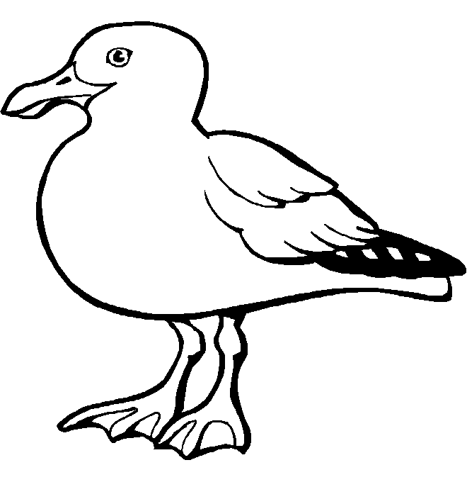 disegni uccelli da colorare