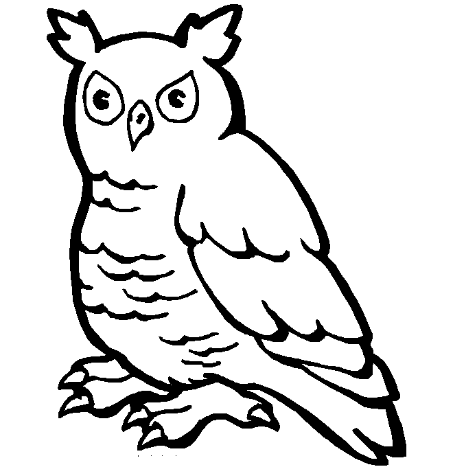 disegni uccelli da colorare