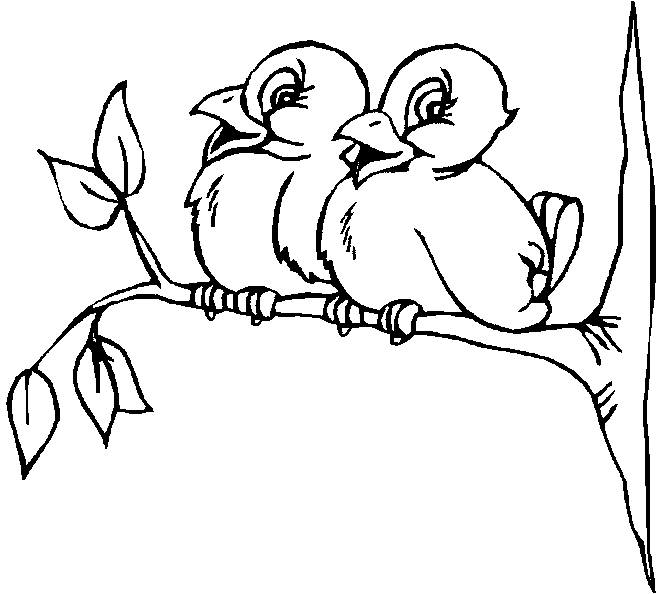 disegni uccelli da colorare