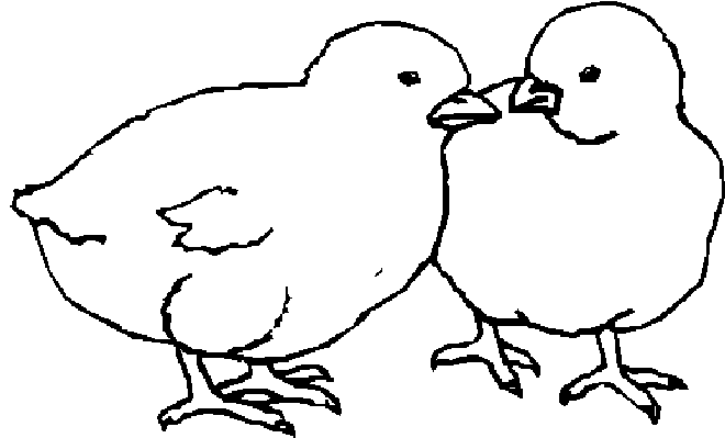 disegni uccelli da colorare