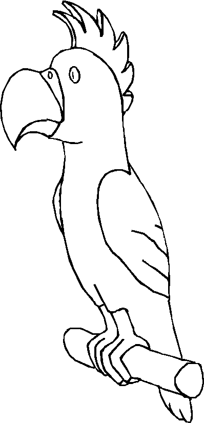 disegni uccelli da colorare