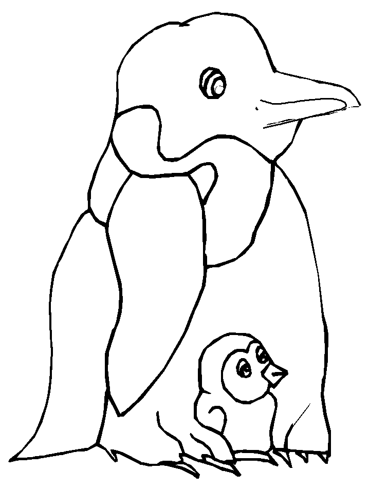 disegni uccelli da colorare