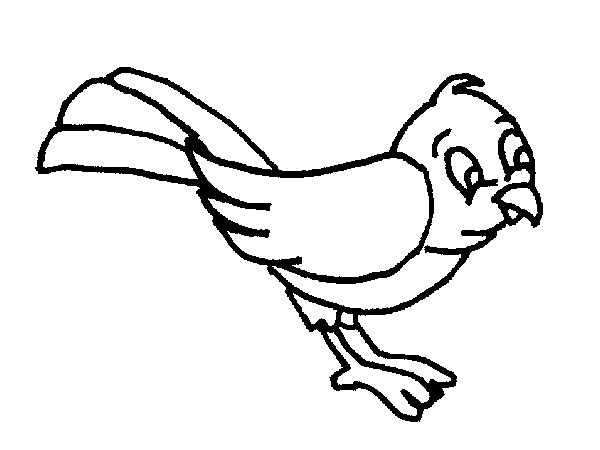 disegni uccelli da colorare