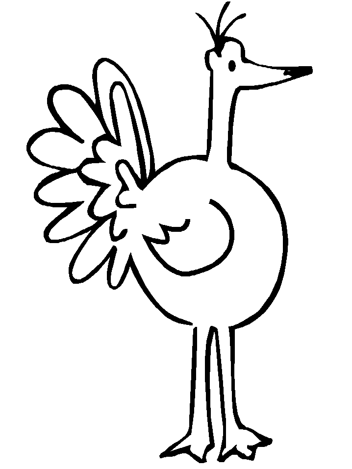 disegni uccelli da colorare