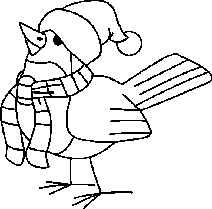 disegni uccelli da colorare