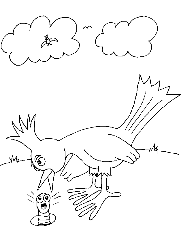 disegni uccelli da colorare