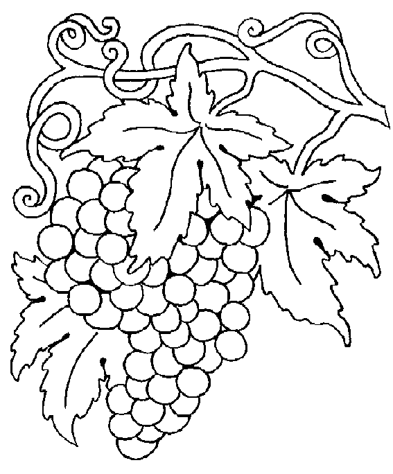 disegni vendemmie da colorare