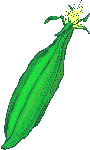 Disegni da colorare di Mangiare -Colorare disegni gratis Mangiare