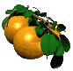 Disegni da colorare di Mangiare -Colorare disegni gratis Mangiare