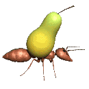 Disegni da colorare di Mangiare -Colorare disegni gratis Mangiare