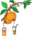 Disegni da colorare di Mangiare -Colorare disegni gratis Mangiare