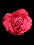 Disegni da colorare di Amore -Colorare disegni gratis Amore