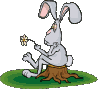 Gifs animados Animales - Imagenes animadas de Animales