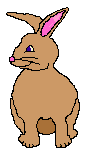 Gifs animados Animales - Imagenes animadas de Animales