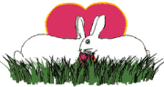 Gifs animados Animales - Imagenes animadas de Animales