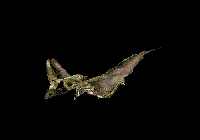Gifs animados Animales - Imagenes animadas de Animales