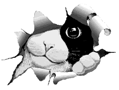 Gifs animados Animales - Imagenes animadas de Animales