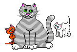 Gifs animados Animales - Imagenes animadas de Animales