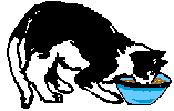 Disegni da colorare di Animali -Colorare disegni gratis Animali
