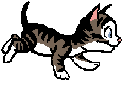 Gifs animados Animales - Imagenes animadas de Animales