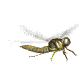 Disegni da colorare di Animali -Colorare disegni gratis Animali