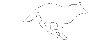 Disegni da colorare di Animali -Colorare disegni gratis Animali