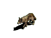 Disegni da colorare di Animali -Colorare disegni gratis Animali