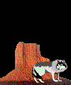 Disegni da colorare di Animali -Colorare disegni gratis Animali
