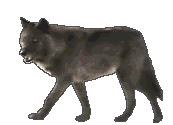 Disegni da colorare di Animali -Colorare disegni gratis Animali