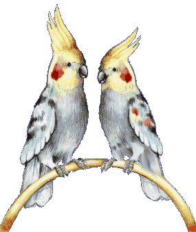 Disegni da colorare di Animali -Colorare disegni gratis Animali