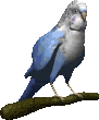 Disegni da colorare di Animali -Colorare disegni gratis Animali