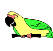 Disegni da colorare di Animali -Colorare disegni gratis Animali