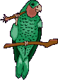 Disegni da colorare di Animali -Colorare disegni gratis Animali