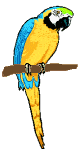 Disegni da colorare di Animali -Colorare disegni gratis Animali