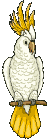 Disegni da colorare di Animali -Colorare disegni gratis Animali