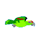 Disegni da colorare di Animali -Colorare disegni gratis Animali