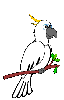Disegni da colorare di Animali -Colorare disegni gratis Animali