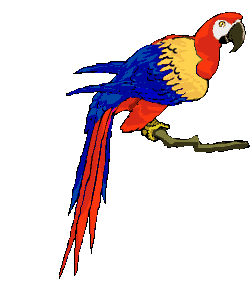 Disegni da colorare di Animali -Colorare disegni gratis Animali