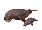 Gifs animados Animales - Imagenes animadas de Animales