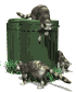 Gifs animados Animales - Imagenes animadas de Animales