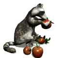 Gifs animados Animales - Imagenes animadas de Animales